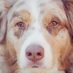 Boomer's Mama - Flickr Profile Picture of Boomer's Mama (@boomer's mama) on Flickr