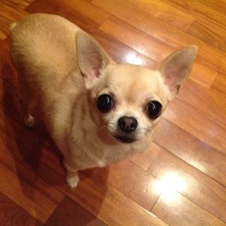 Profile Picture of Nico Pacelli (@nico.pacelli.9) on Facebook