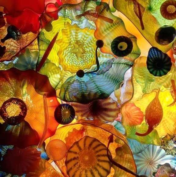 Profile Picture of Tyler Freedman (@freedmantyler64) on Poshmark