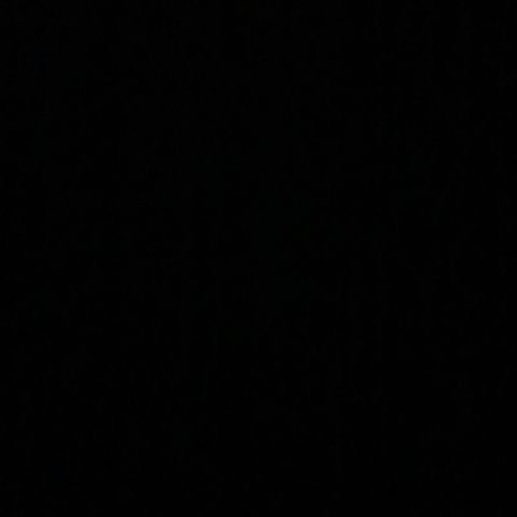 Profile Picture of Bryan Polanco (@bryanpolanco787) on Poshmark