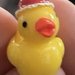 Profile Picture of Quinn Hooper (@quinn.hooper.964517) on Facebook