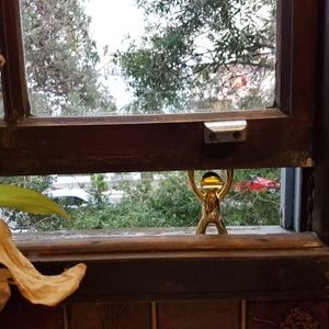 Profile Picture of David Wallman (@dawallman) on Twitter