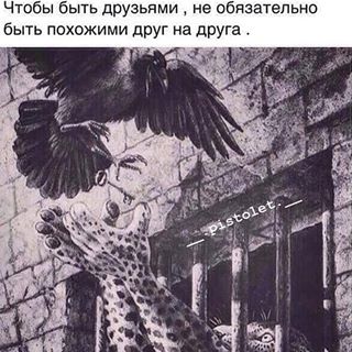 Profile Picture of Alexandru Busuioc (@alexandru.busuioc.982) on Facebook