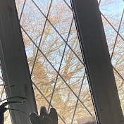 Profile Picture of Matthew Wisniewski (@matthewwisniewski744) on Youtube