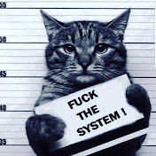 Profile Picture of Jason Seifert (@jasonseifert3607) on Youtube