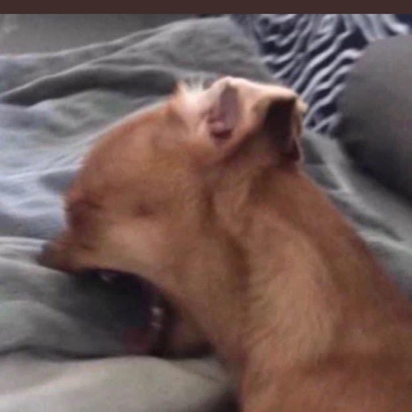 Profile Picture of Danny Carrillo (@dannycarrill183) on Poshmark