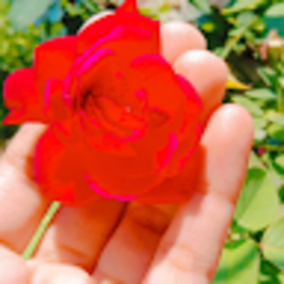 Profile Picture of Suman Buttar (@sumanbuttar029) on Poshmark