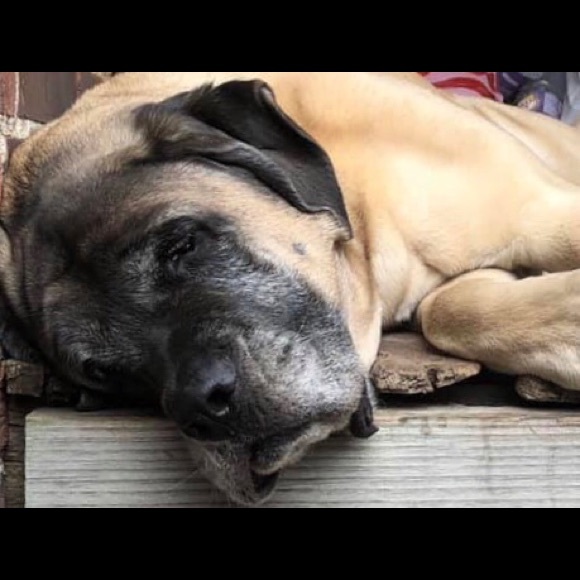 Profile Picture of Shalisse Johnstun (@shalissej) on Poshmark