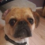 Profile Picture of James (@james._parr) on Instagram