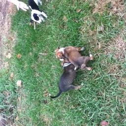 Profile Picture of Jayson Gilbert (@MCpro2004) on Twitter