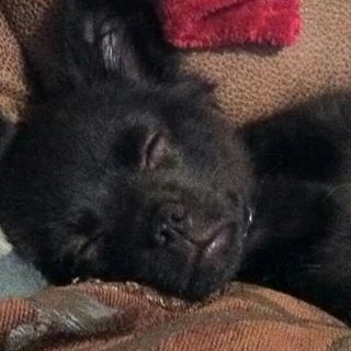 Profile Picture of James Gotham (@James-Gotham) on Facebook