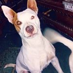 Profile Picture of Kim Whitfield (@kim.whitfield.948) on Instagram