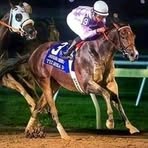 Profile Picture of Michael Lake Rose (@michael.lakerose.58) on Facebook