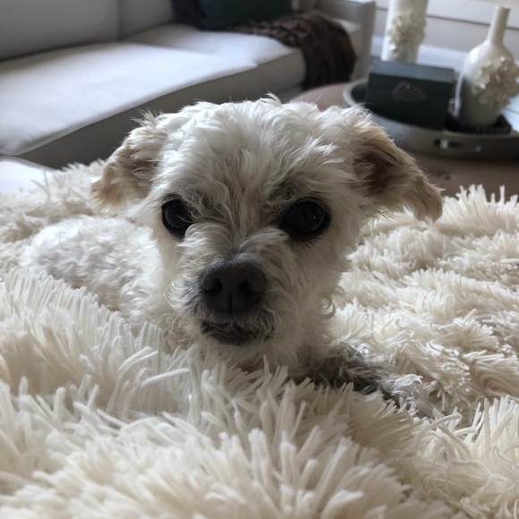 Profile Picture of Marylynn Mcleese (@savvy4style) on Poshmark