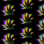 Profile Picture of Nathaniel Williamson (@williamson_nathaniel) on Instagram