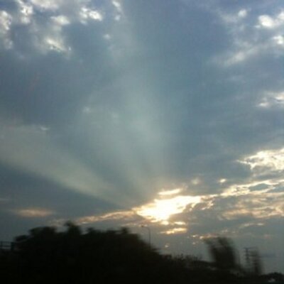 Profile Picture of Terry Ting (@terry_ting) on Twitter