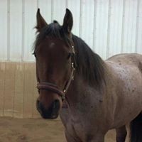 Profile Picture of Colleen Flaherty Stuart (@colleen-flaherty-stuart) on Quora