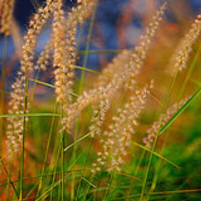 Profile Picture of Stuart Snider (@StuartSnider) on Twitter