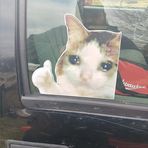 Dan Tuinstra - Facebook Profile Picture of Dan Tuinstra (@dan.tuinstra.58) on Facebook