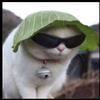 Profile Picture of Peter Winther Engell (@@peterwintherengel) on Tiktok