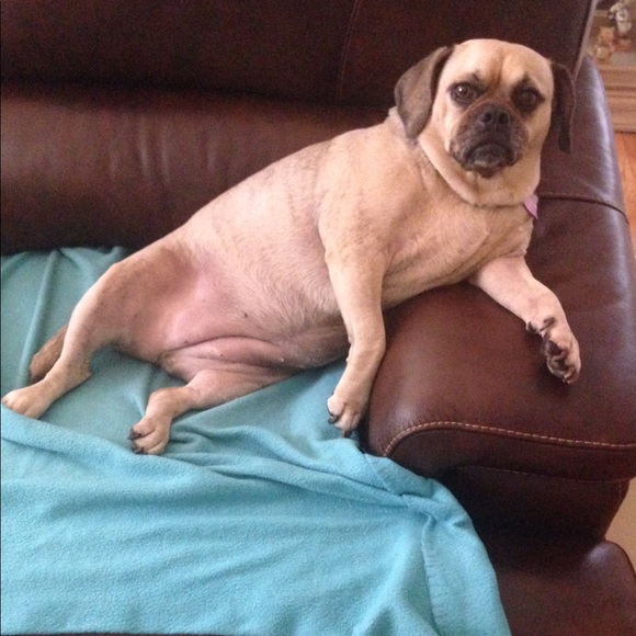 Andrew Davila - Poshmark Profile Picture of Andrew Davila (@andrew9610) on Poshmark