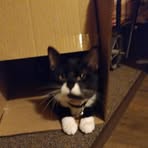 Profile Picture of Beth Piskunov (@beth.piskunov.58) on Facebook