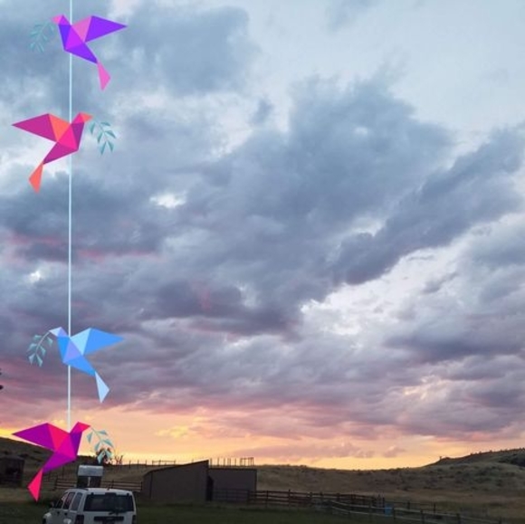 Profile Picture of Lisa Haines (@lmhtap) on Poshmark