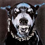 Profile Picture of David Munzert (@donaldduck90er) on Instagram