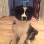 Profile Picture of Guy Charbonneau (@charbonneau_guy) on Instagram