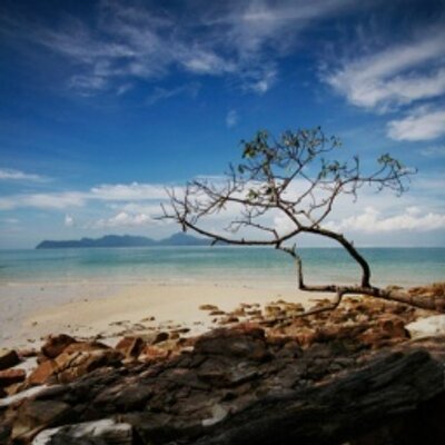 Profile Picture of لمى المهنا. (@Samela_Thomas) on Twitter