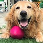 Profile Picture of RRママ (@sergio.ron) on Instagram