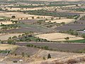 Profile Picture of Dryland farmingon Wikipedia