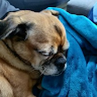 Profile Picture of Derek Conroy (@derek-conroy-7) on Quora