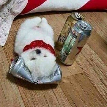 Profile Picture of 지훈 (@brianjjung) on Tiktok