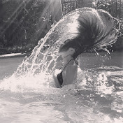 Profile Picture of Jade Hogan (@jadehogan8399) on Youtube