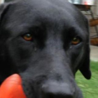Profile Picture of Chase Cromer (@chase.cromer.9) on Facebook