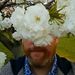 Profile Picture of David Schermer (@cupofpizza) on Pinterest