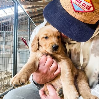 Profile Picture of Jason Kinslow (@jasonkinslow) on Instagram