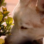 Profile Picture of Ronald Meyer (@ron_mmg) on Instagram