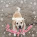Profile Picture of Howard Chick (@howard.chick.9) on Facebook