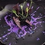 Profile Picture of Brent Beckstead (@brentos_freshmaker) on Instagram