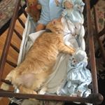 Profile Picture of Delores Small (@delores_small) on Instagram