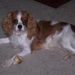 Profile Picture of Gena Cline (@keebrykay) on Pinterest
