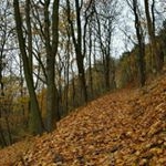 Profile Picture of Gustav Müller (@gustav12546) on Instagram