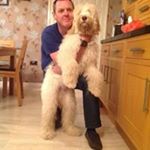 Profile Picture of Mark Davidge (@mark.davidge2) on Instagram