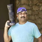 Profile Picture of Michael Dsouza (@michaelclicks_birds_wildlife) on Instagram