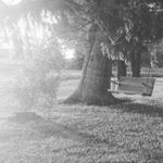 Profile Picture of mandy zimmerman (@amandazimmerman642) on Instagram