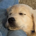 Profile Picture of Tracy Warner (@t.warner88) on Instagram