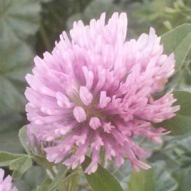 Profile Picture of Scott Baxter Scott Baxter Scott Baxter Scott Baxte (@eyesquash) on Twitter