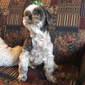 Profile Picture of Lori Marshall (@LoriJMarshall) on Youtube